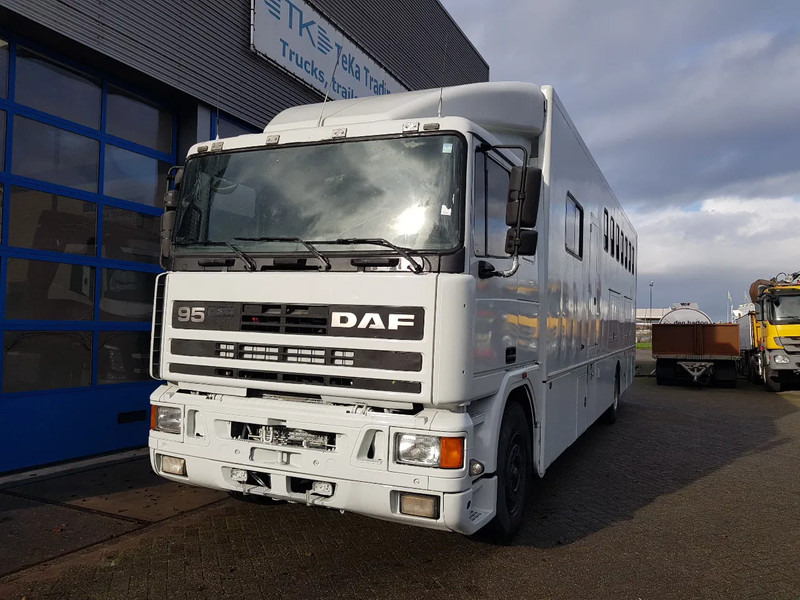 Φορτηγό μεταφοράς αλόγων DAF 95.350 Paardenwagen met zitverblijf 7 paarden 7 horses: φωτογραφία 16