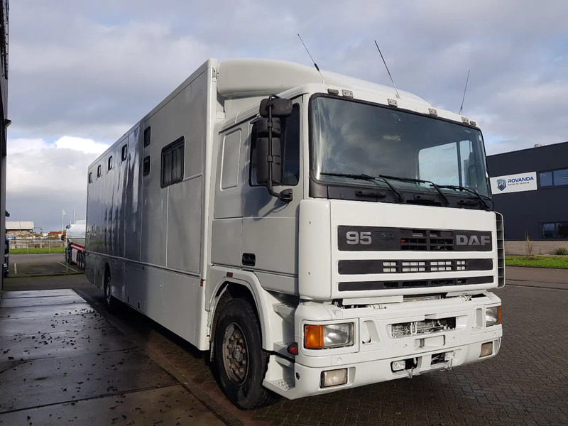 Φορτηγό μεταφοράς αλόγων DAF 95.350 Paardenwagen met zitverblijf 7 paarden 7 horses: φωτογραφία 15